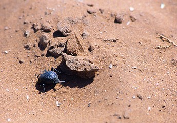 Image showing Namibia