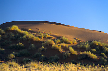 Image showing Namibia