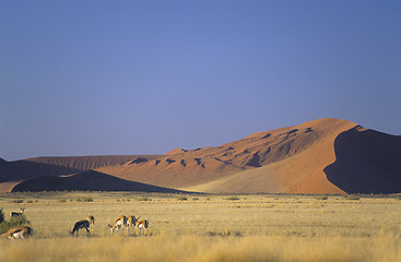 Image showing Namibia