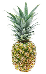 Image showing Tropical pineapple isolated