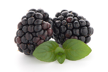 Image showing Blackberries with leaves