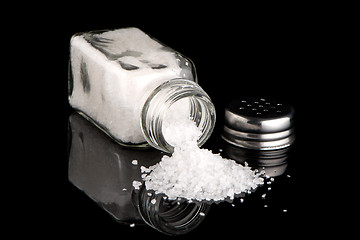 Image showing  Salt shaker