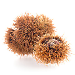 Image showing Chestnuts with shell 