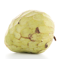 Image showing Fresh Custard Apple