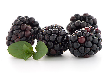 Image showing Blackberries with leaves