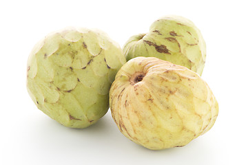 Image showing Fresh Custard Apple