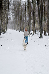 Image showing Woman with dog walking down the avenue in the winter.