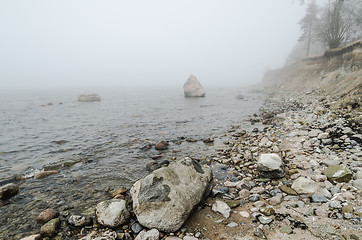 Image showing Coast of Baltic sea in a fog