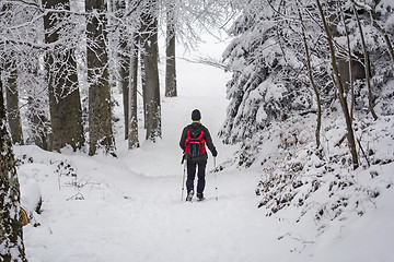 Image showing Mountaineer in the snow forest