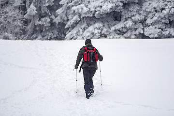 Image showing Mountaineer in the snow forest