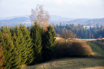 Image showing Vysocina landscape with forest