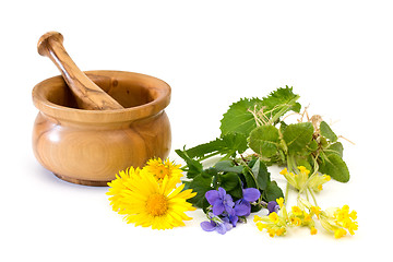 Image showing Medicinal plants with mortar and pestle