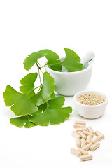 Image showing Ginkgo capsules with mortar and pestle