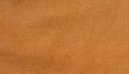 Image showing Leather background