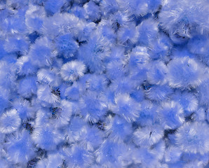 Image showing Dried Flowers Dandelion