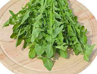 Image showing Leaves of dandelion