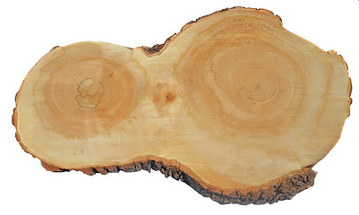 Image showing Piece of wood