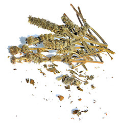 Image showing Dried Woundwort