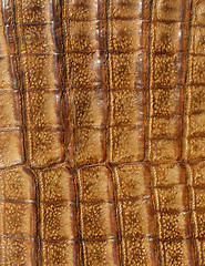 Image showing Leather background