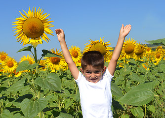 Image showing Freedom