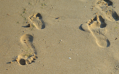 Image showing Steps on the beach