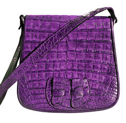 Image showing Handbag