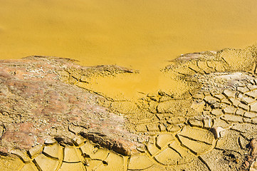 Image showing Polluted water detail