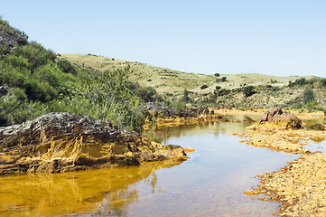 Image showing Polluted river