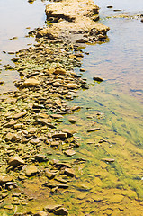 Image showing Polluted river detail