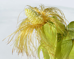 Image showing Young corn