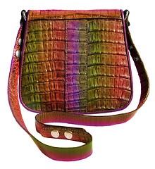 Image showing Handbag