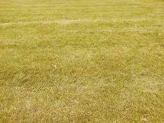 Image showing Retro looking Grass meadow