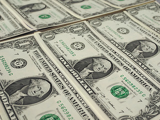 Image showing Dollar notes 1 Dollar