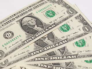 Image showing Dollar notes 1 Dollar