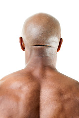 Image showing Muscular Mans Back of Head