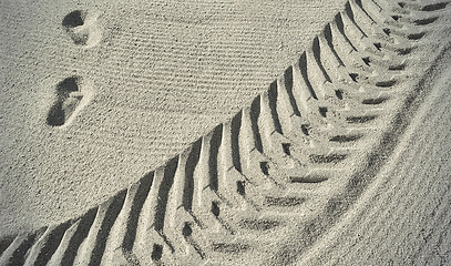 Image showing Traces on the beach sand