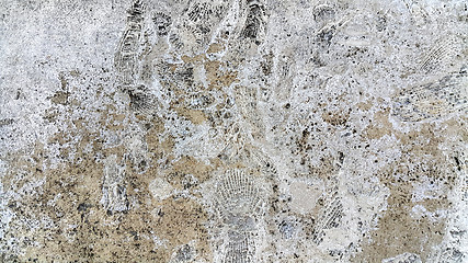 Image showing Stone texture with fossils