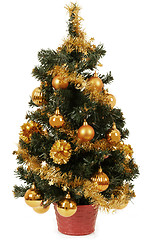 Image showing small christmas tree in pot with yellow balls 