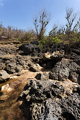 Image showing rock formation coastline at Nusa Penida island