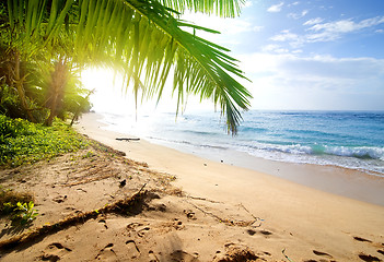Image showing Beach and ocean
