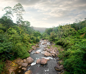 Image showing Cloudy weather and river