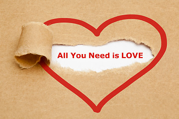 Image showing All You Need is Love Torn Paper