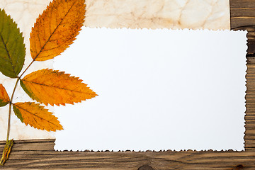 Image showing blank vintage photo and autumn leaves