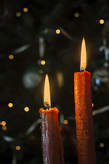 Image showing Candles in front of the Christmas tree