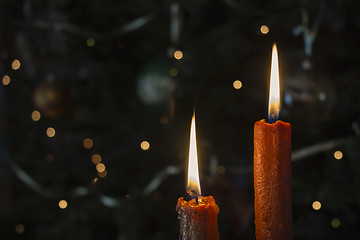 Image showing Candles in front of the Christmas tree