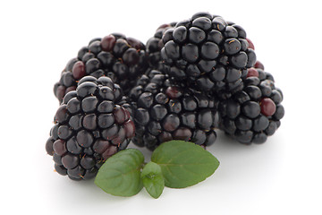 Image showing Blackberries with leaves