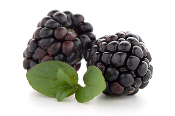 Image showing Blackberries with leaves