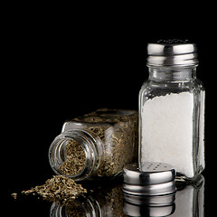 Image showing Salt and oregano shakers