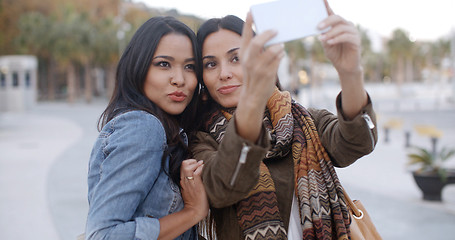 Image showing Two gorgeous women posing for a selfie