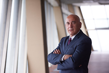 Image showing senior business man portrait